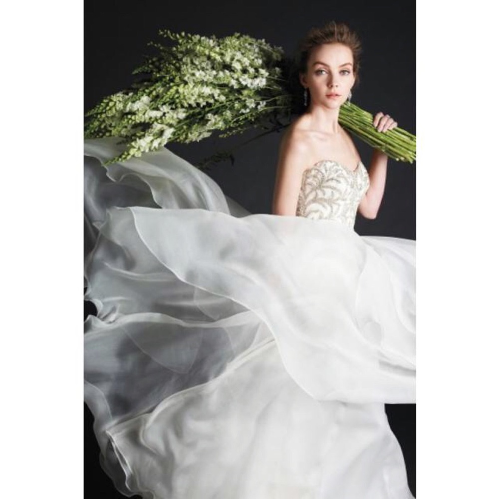 Watters Daniella beaded wedding gown 6072b - Picture 4 of 11